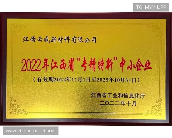 尊龙集团中国官方网站展示企业荣誉资质与行业领先地位的全面介绍